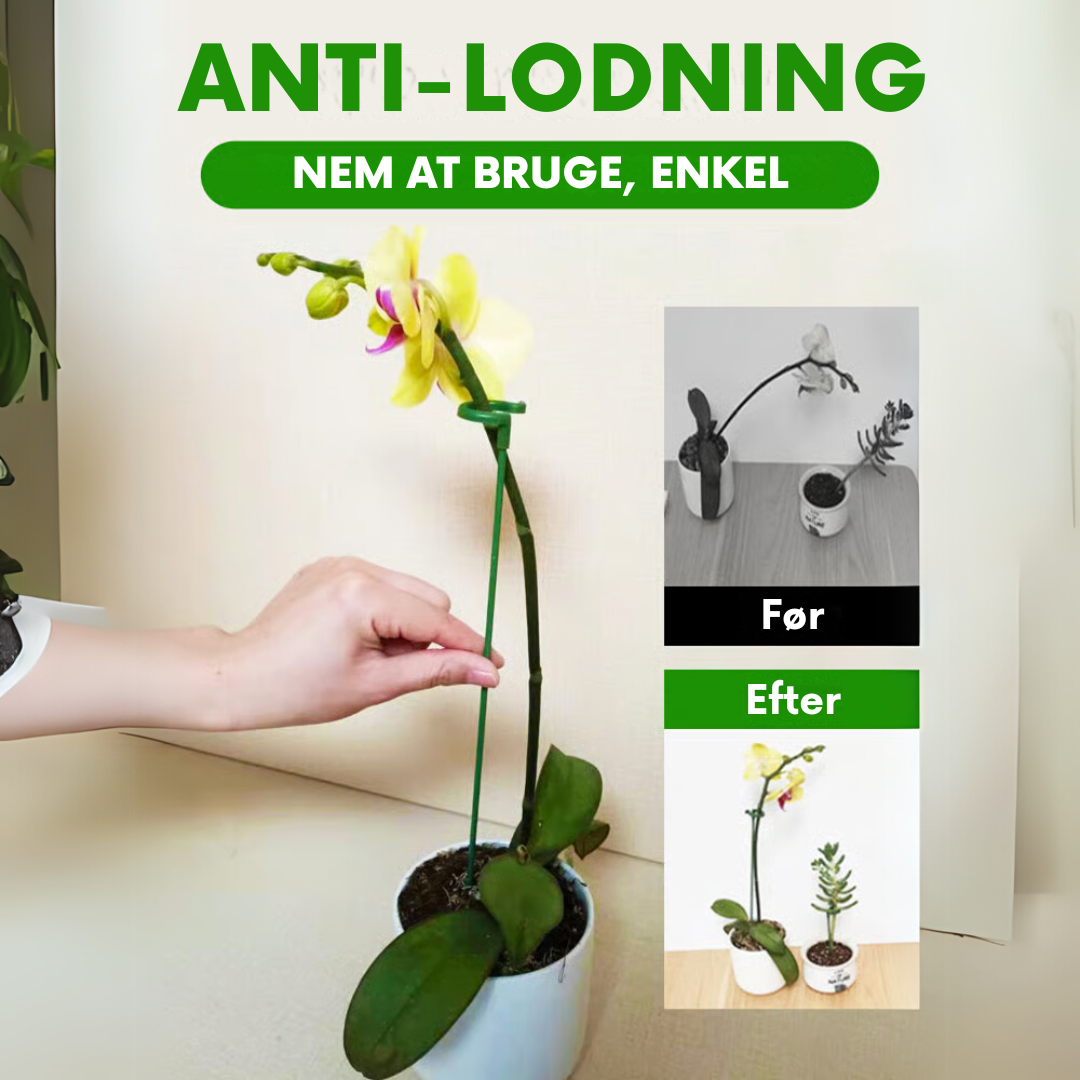 PlantGuard™ - 10 stk. Holdbare Plante Støttebeslag