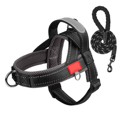 Hundesele + gratis bånd på 1,5 m x 1,0 m