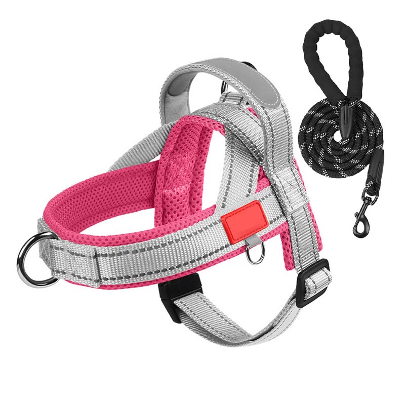 Hundesele + gratis bånd på 1,5 m x 1,0 m