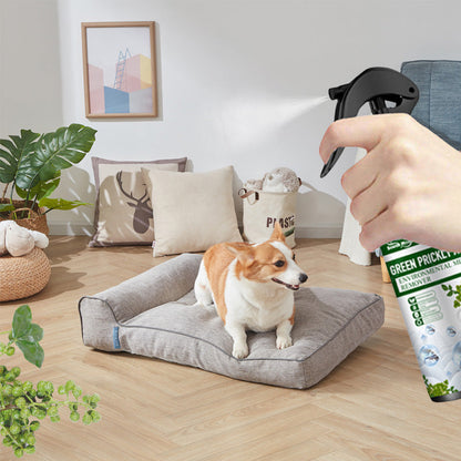 🎉Sommertilbud 50 % rabat🎉Effektiv midefjernerspray – dybderenser og beskytter sundheden