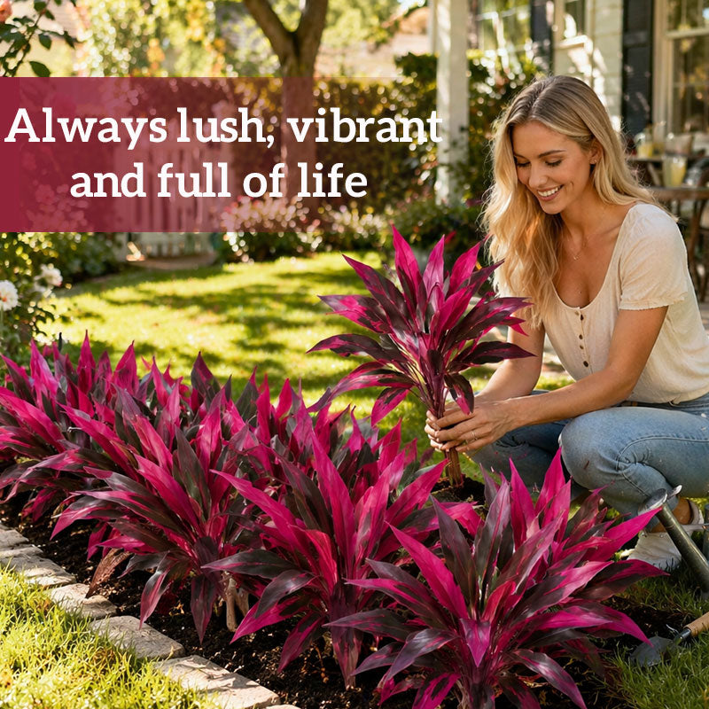 🔥 SIDSTE DAG – 50 % RABAT! 🏡🌿Kunstig rød cordyline-ti-plante – nem at passe og med frodigt, farvestrålende løv året rundt