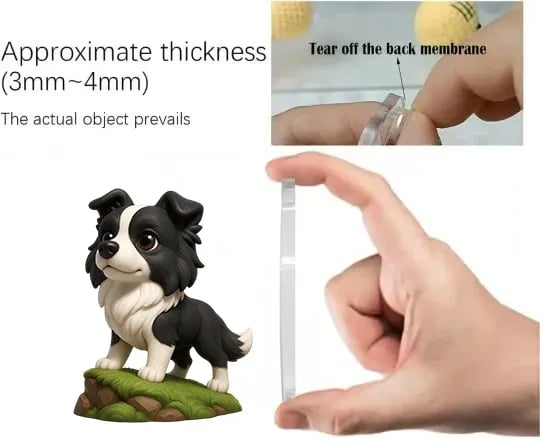 Border Collie julekalender 2025