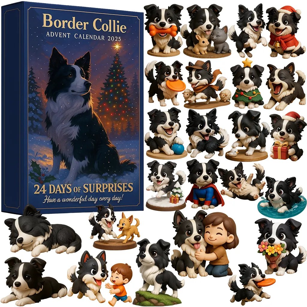 Border Collie julekalender 2025