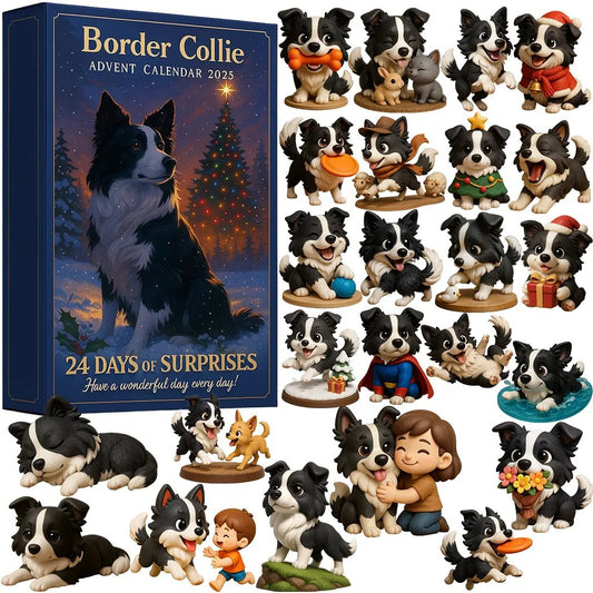 Border Collie julekalender 2025