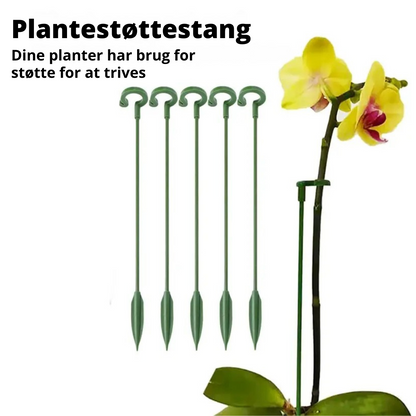 PlantGuard™ - 10 stk. Holdbare Plante Støttebeslag