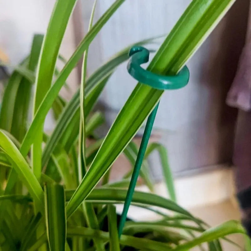 PlantGuard™ - 10 stk. Holdbare Plante Støttebeslag