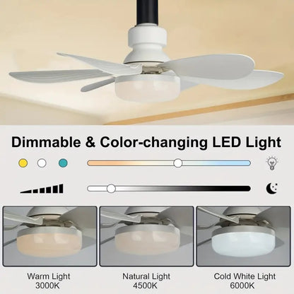 2-IN-1 PORTABLE FLOOR FAN & LIGHT med fjernbetjenin
