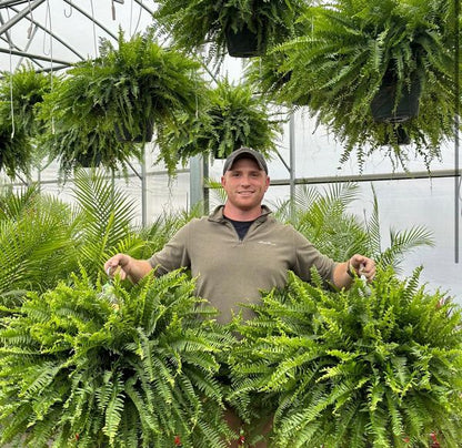 🌱 UV-bestandig, naturtro kunstig bostonbregne