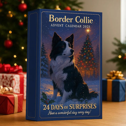 Border Collie julekalender 2025