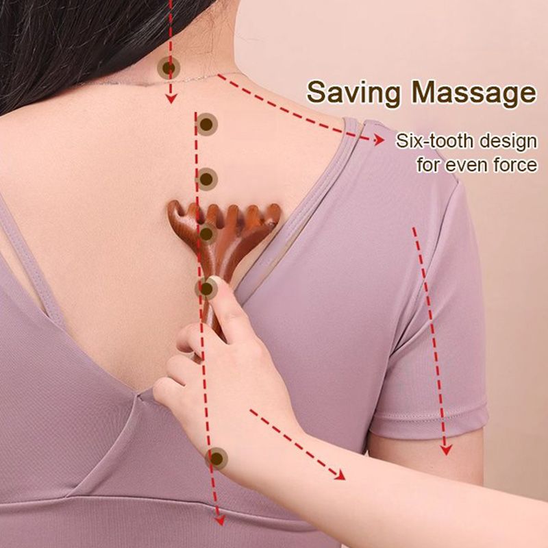 Meridian-massagekam med seks kløer